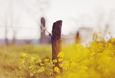 ​愚公移山的故事（愚公移山的寓言故事启示）