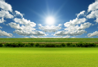 ​关于马的故事有哪些（马生肖的由来介绍）