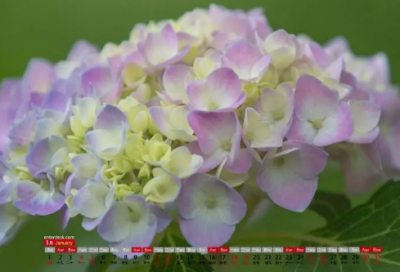 ​熟能生巧的故事有哪些（熟能生巧的名人事例）