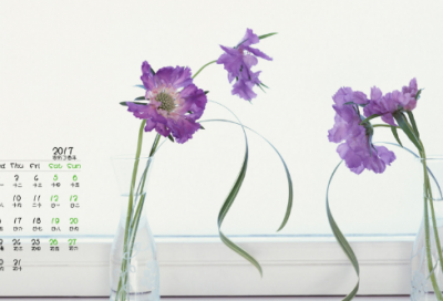 ​爱情短篇小说感人（感人催泪的爱情故事）