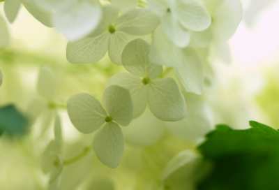 ​世界四大寓言故事大全（四大经典寓言故事集）