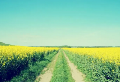 ​端午节由来与传说（端午节的传说故事简短）