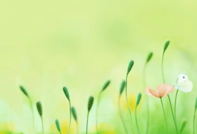 ​励志故事大全短篇（每天一则励志小故事分享）