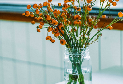 ​孟母三迁的故事的启示（孟母三迁原文及翻译）