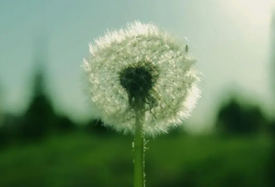 ​情侣故事睡前故事长篇童话故事（哄女友的甜蜜睡前故事）