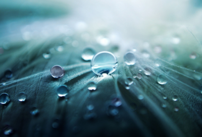 ​画龙点睛成语故事（画龙点睛成语故事的道理）