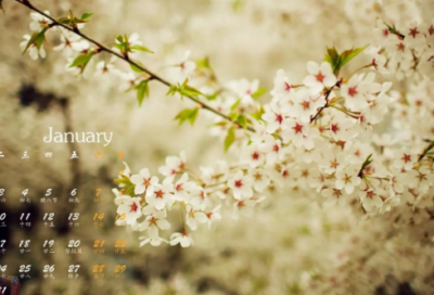 ​鲁迅弃医从文的故事（讲述鲁迅的一生）