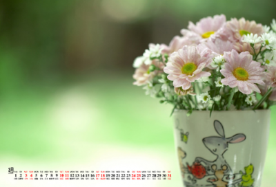 ​覆巢之下焉有完卵的故事（覆巢之下无完卵典故）