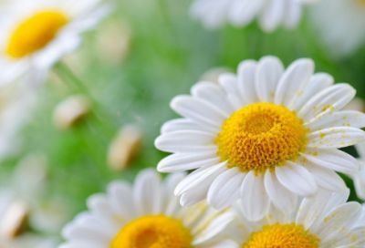 ​七零八落什么意思（七零八落解释及成语故事）