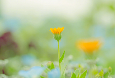 ​嫦娥奔月的故事完整版（嫦娥奔月的神话故事500字）