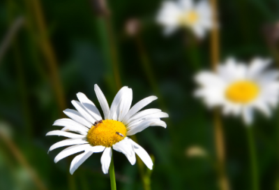 ​四年级童话故事作文400字（四年级优秀作文童话故事）