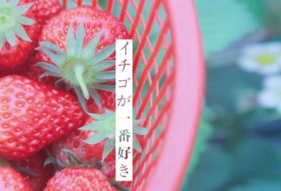 ​世语新说的主要内容（世语新说的故事）