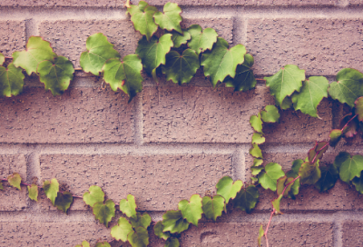 ​围魏救赵的主人公是谁（围魏救赵的故事）