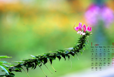 ​盘古开天地的神话故事（中国神话故事盘古开天地）