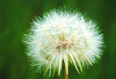 ​感人的校园爱情故事简短（5则感人的爱情故事）