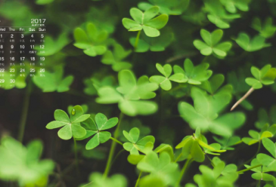 ​青蛙王子的故事原文（睡前故事青蛙王子）