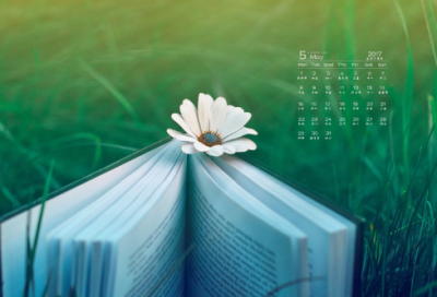 ​狼吃羊的故事告诉我们什么道理（寓言故事狼和小羊启示）