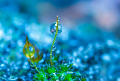 ​玻璃鞋的童话故事（贝琳达和玻璃鞋）