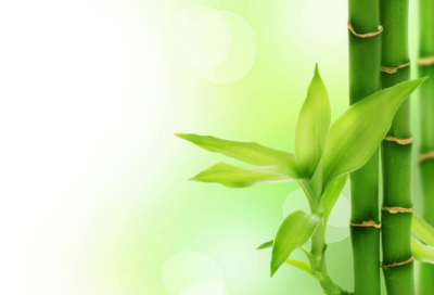 ​真实名人的励志故事300字及感悟（50个正能量励志小故事）