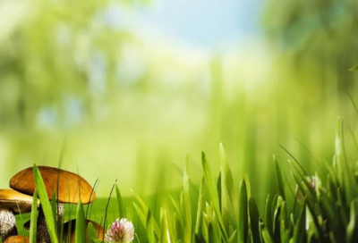 ​滴水穿石的故事简短（水滴石穿的寓言故事典故）