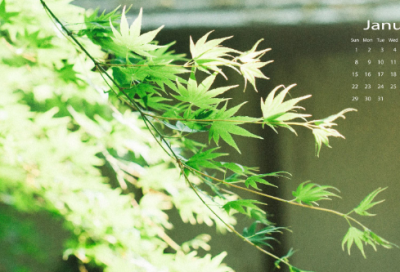 ​管宁割席文言文翻译（管宁割席的故事的启示）