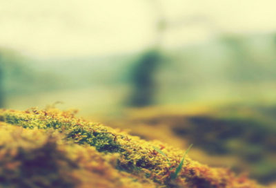 ​鲁班造锯的故事懂得了什么道理（鲁班造锯主要内容介绍）