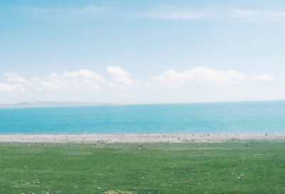 ​守株待兔的故事简短文字（守株待兔的完整故事）