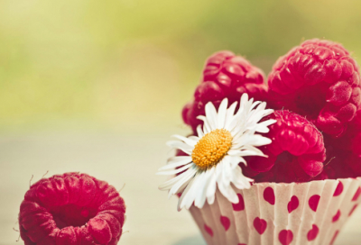 ​狼和鹿的故事告诉我们什么（狼与鹿的生态平衡故事）