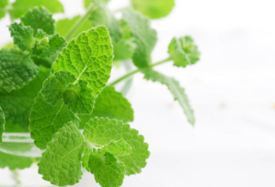 ​耶稣诞生的故事（关于耶稣的民间故事）