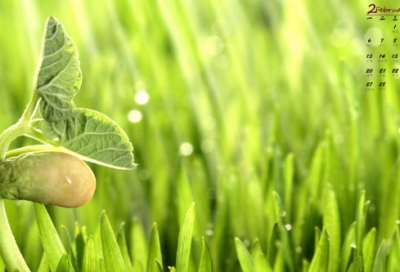 ​三分钟立志小故事（有关快乐的励志小故事）