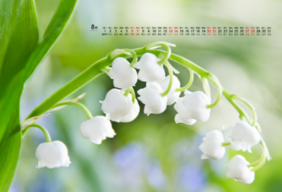 ​道听途说成语故事概括（道听途说成语典故介绍）