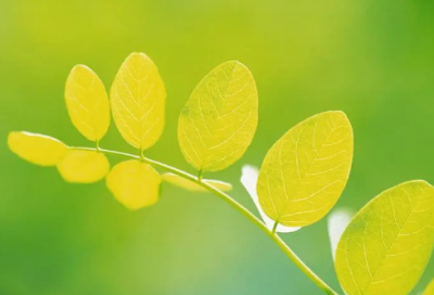 ​幼儿益智故事大全（简短有趣的睡前益智故事）