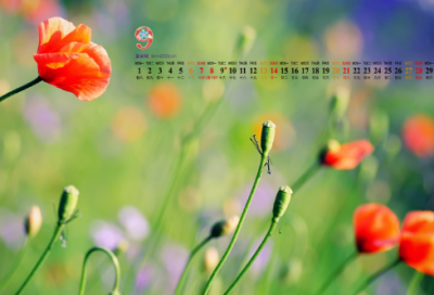 ​筚路蓝缕的成语意思是什么（筚路蓝缕的成语故事及解释）