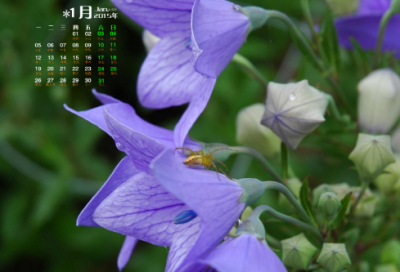 ​鬼怕恶人文言文翻译（寓言故事鬼怕恶人）