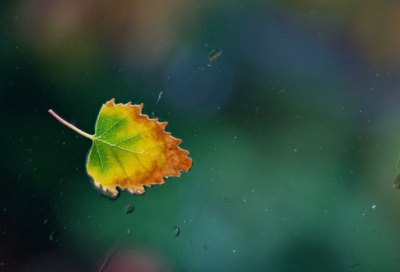 ​幼儿短小故事两分钟（2分钟有趣的幼儿故事）