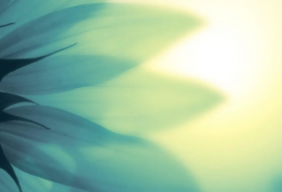 ​有趣的故事短篇（搞笑小故事逗人开心）