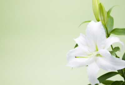 ​渔人得利的故事是什么意思（渔人得利故事及教人道理）