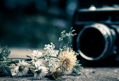 ​关于兔子的故事（小兔子童话故事分享）