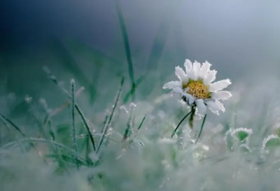 ​关于一暴十寒的故事（历史上一曝十寒的例子）