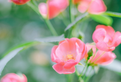 ​画蛇添足的典故是什么（画蛇添足故事简短）