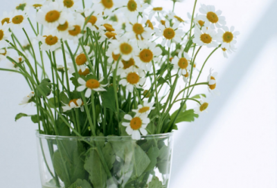 ​三国演义是什么小说（三国演义最有名的故事）