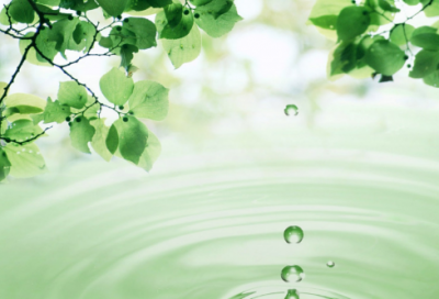 ​噤如寒蝉是什么意思（噤若寒蝉的成语解释及故事）