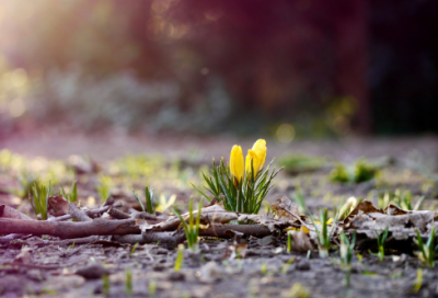 ​大道理句子人生感悟（小故事大道理感悟人生）