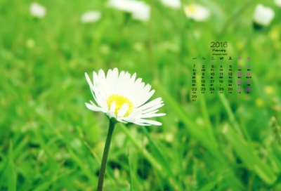 ​歧路亡羊故事概括（歧路亡羊寓言故事简短）