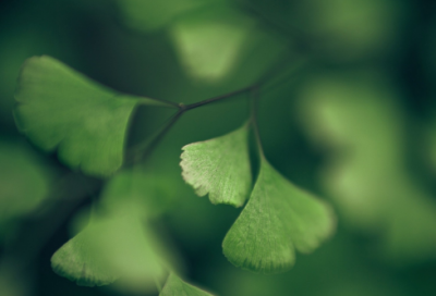 ​关于诸葛亮的故事名称有哪些（诸葛亮的故事简短概括）