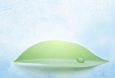 ​成语故事画蛇添足故事全文（画蛇添足出处及典故）