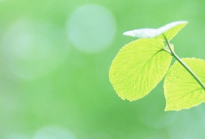 ​关于车水马龙的故事（车水马龙成语故事主要内容）