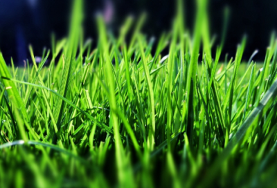 ​毛遂自荐的故事（毛遂自荐的成语故事简短版）