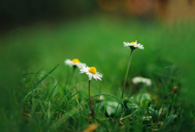 ​中国古代寓言故事（儿童寓言故事目录）