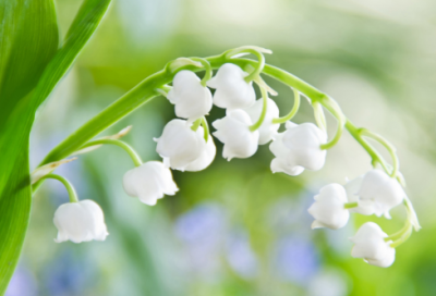 ​西湖的来历有关的故事（西湖的典故和含义）